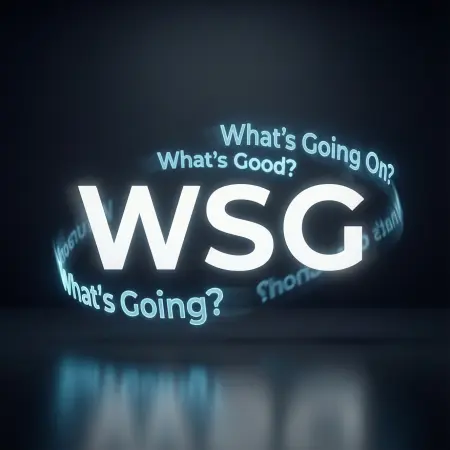 Different Meanings of WSG