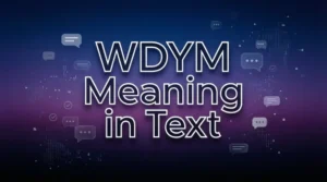 wdym meaning in text