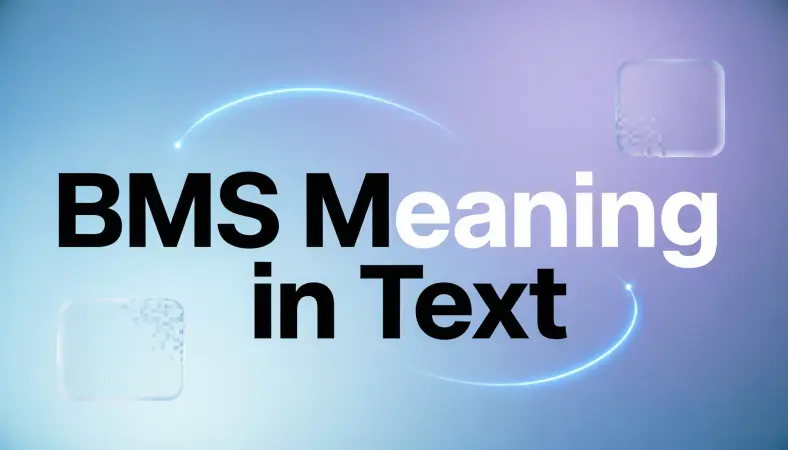 BMS Meaning in Text