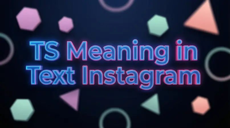 ts meaning in text instagram