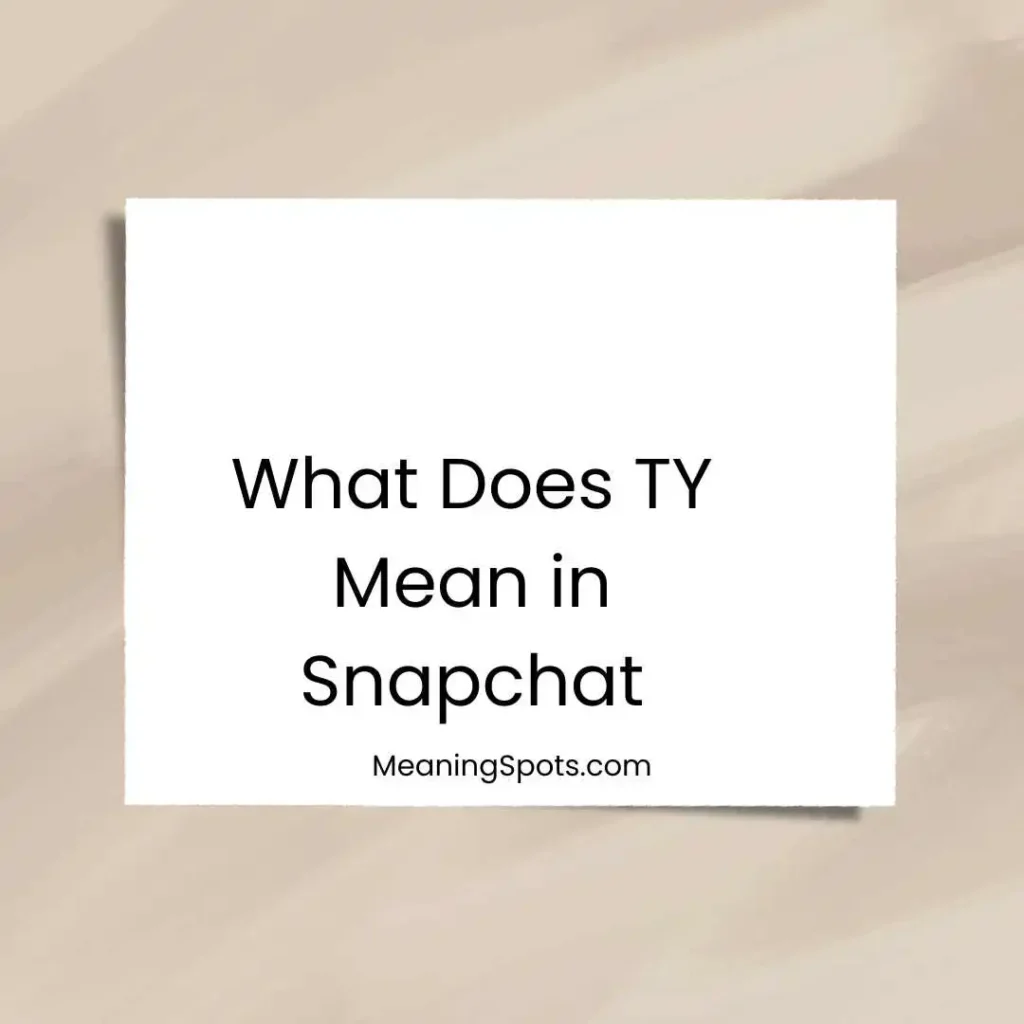 What Does TY Mean in Snapchat