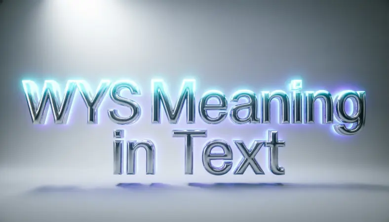 wys meaning in text