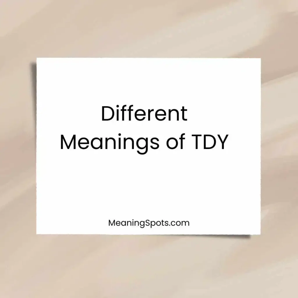 Different Meanings of TDY