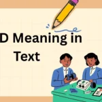 OOTD Meaning in Text