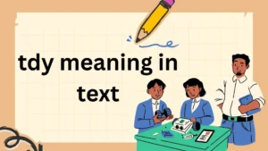 tdy meaning in text