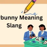 Snowbunny Meaning Slang