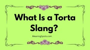 What Is a Torta Slang?