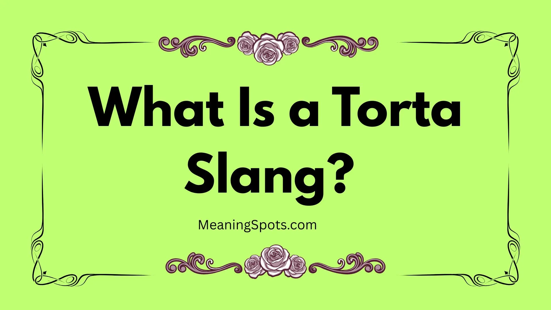 What Is a Torta Slang?